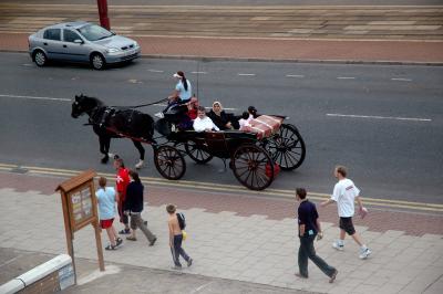 Famous Blackpool Horse and Carts