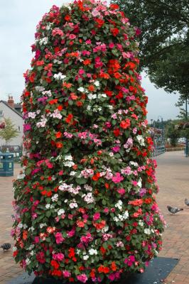 v3/28/557928/3/47058290.FlowerDome.jpg