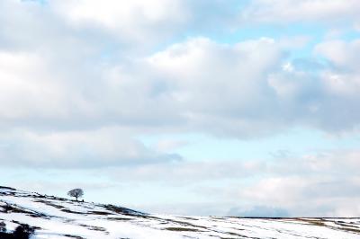 Snow in the Oldham Moors 95