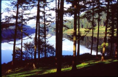 Derwent  Forest in the Peak District 74                 