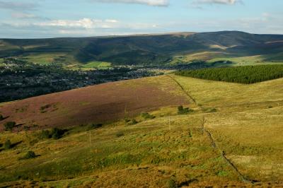 Heather on the Hills of Glossop 82