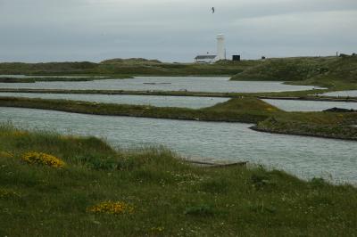 Walney Island Lighthouse 91