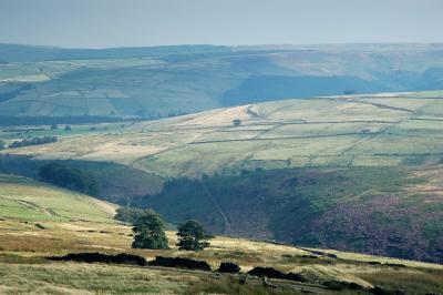 Saddleworth Moors 84