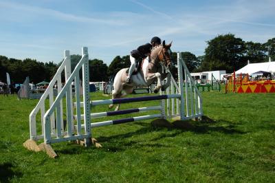 Another Show Jumping Entrant