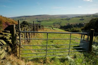 Through the Gate at Marsden 115