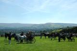 Horse and Carts getting Ready for Parade