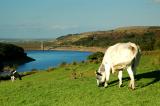 Marsden Reservoir 111