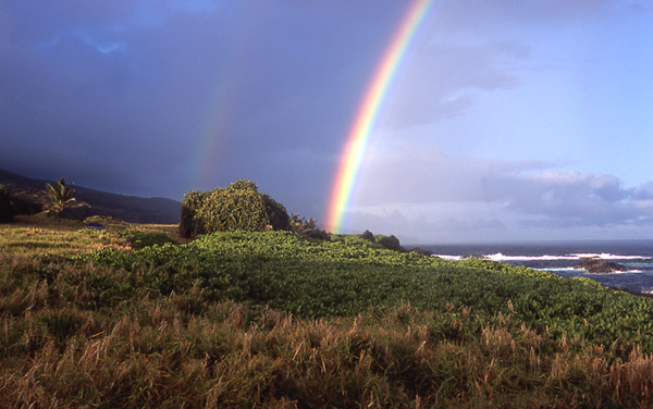 Maui rainbow