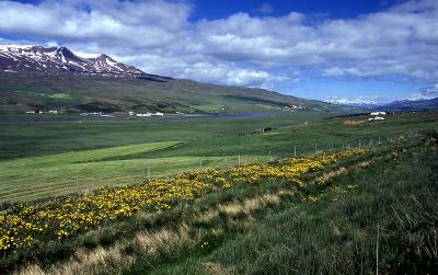 farm valley