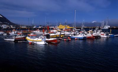 Dalvik harbor