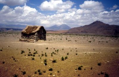 Atacama desert-herder's hut
