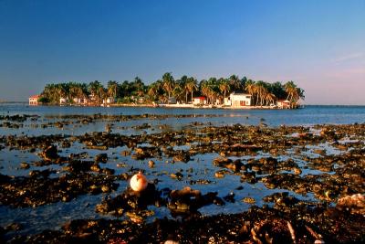 Island on the reef