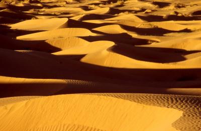 Saharan dune Morocco  2