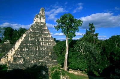 Temple I Tikal