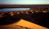 Saharan dune Morocco