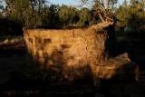 ruined tower-Pueblo