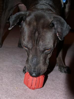 Bisquit Ball4.jpg