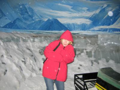 v3/28/605528/3/50952323.Antartica2AroundTheWorld108.jpg