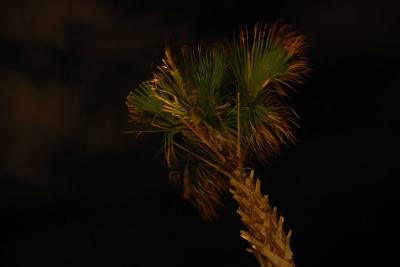DSC_4748.jpg