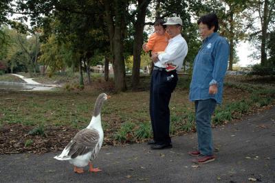 Hagerstown City Park