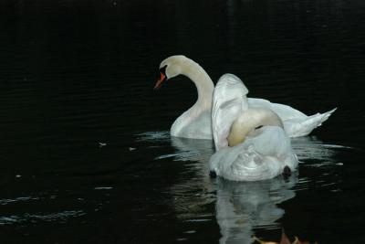 DSC_9112.jpg