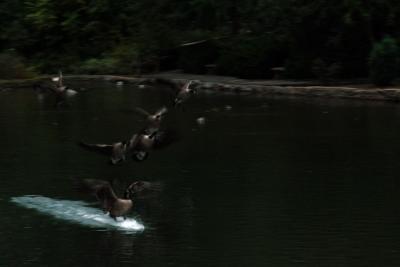 DSC_9114.jpg