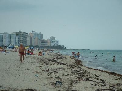 Florida026.jpg