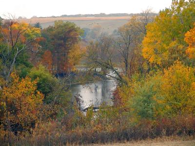 Creek and fall color.JPG