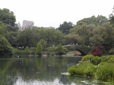 Bridge in Central Park