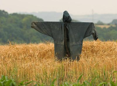 The scarecrow (2)