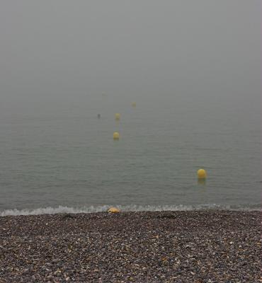 In the fog (3)
