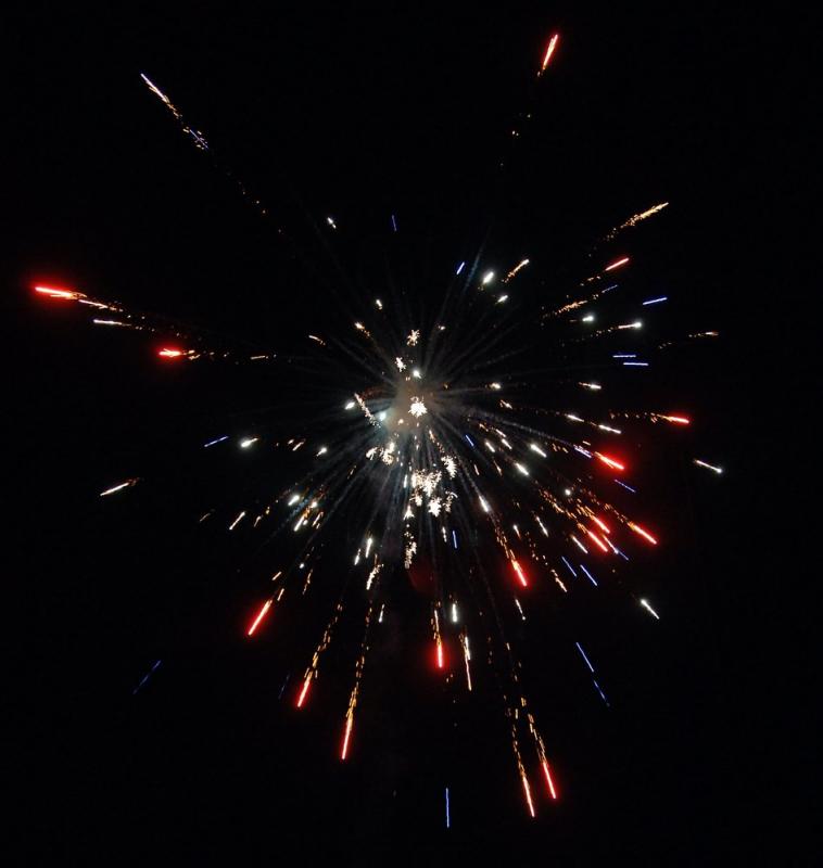 DSC_0115.jpg