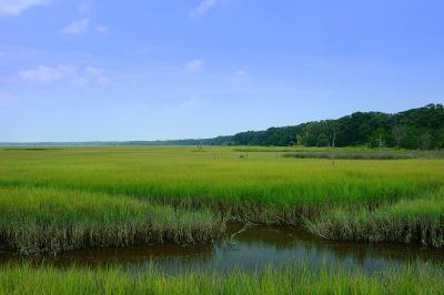 Amelia Island, Florida