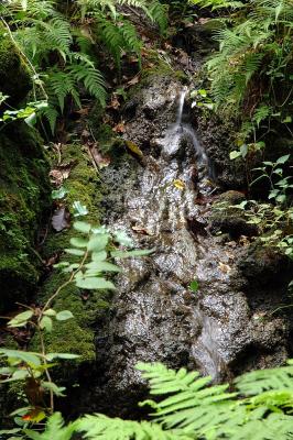 DSC_0026.jpg
