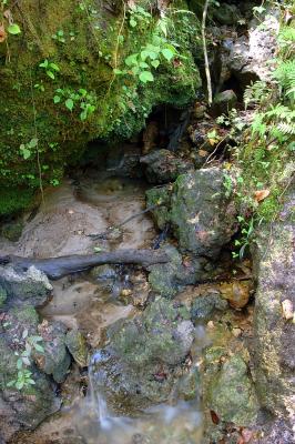 DSC_0031.jpg