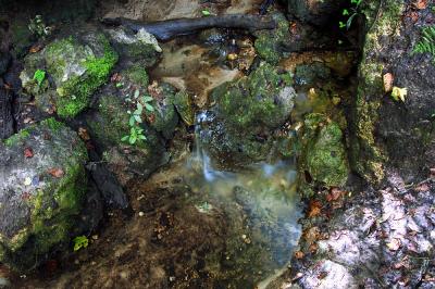 DSC_0038.jpg