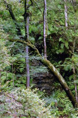 DSC_0050.jpg