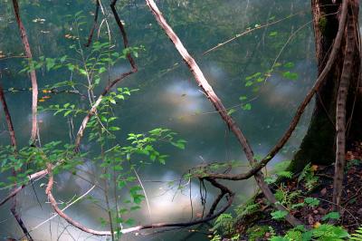 DSC_0082.jpg