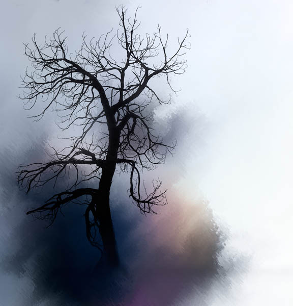 #4 (tie): David Warren, Once I Dreamt a Tree