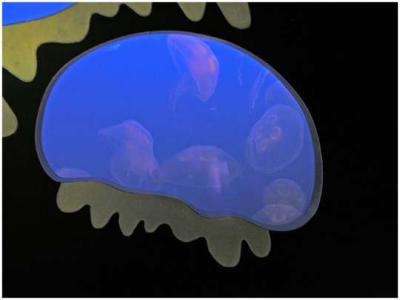 Chizuko Farley: Jelly