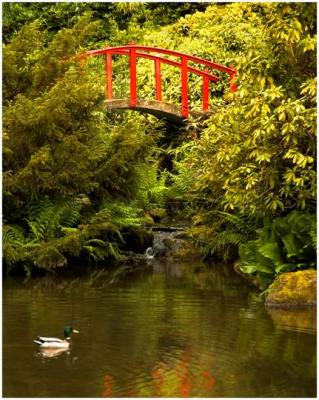 John Petrek: Red Bridge