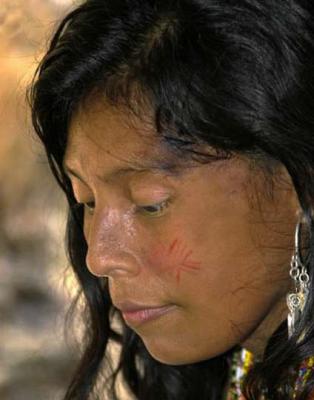 v3/29/454229/3/46510692.GenevieveMoyerEmberaIndianWoman.jpg