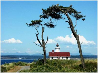 Nancy Hacker: Lighthouse