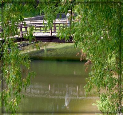v3/29/467129/3/44507666.June82005ReflectiveBridge.jpg