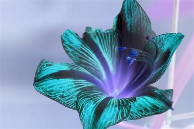 Inner Glow