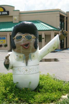 Elvis Nut
