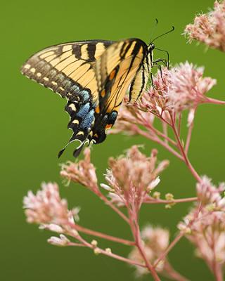 DSCF0204.jpg