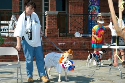 DSC_4221WM.jpg