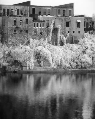 On the Banks of the Alabama River (Infrared)