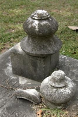 'Still Life'.jpg